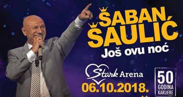 organizovanje koncerata